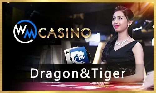Support & FAQ Icon